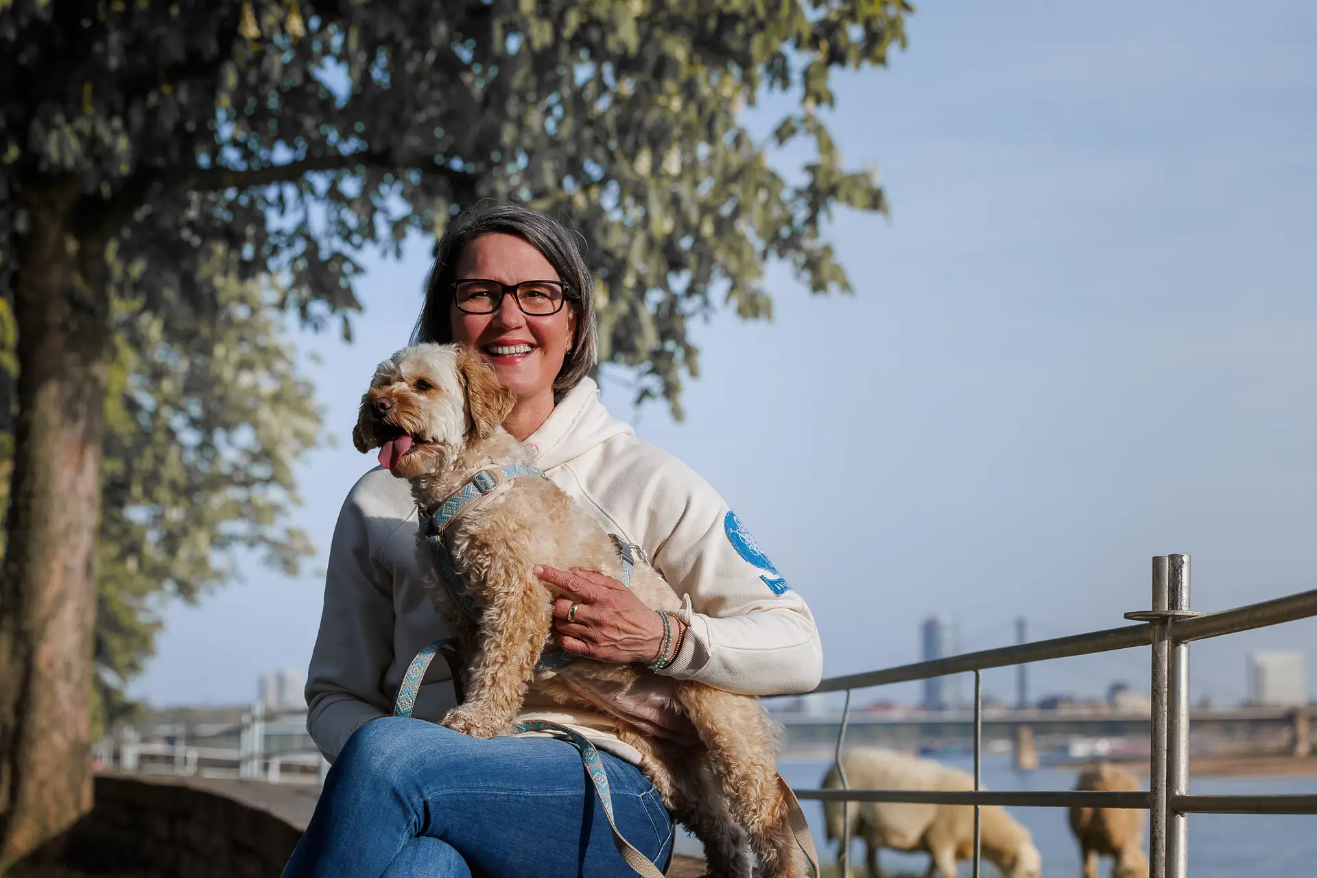 Hundetrainerin aus Düsseldorf mit Hund im Park – Dogs am Rhein Hundeschule