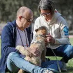 Hund-Mesch-Bezuehung, Anne Poppe, Hundetrainerin aus Düsseldorf – Dogs am Rhein