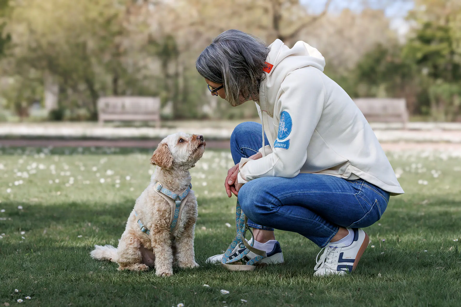 Hundetrainerin in Düsseldorf beim Einzeltraining – vertrauensvoller Blickkontakt mit Hund im Park bei Dogs am Rhein
