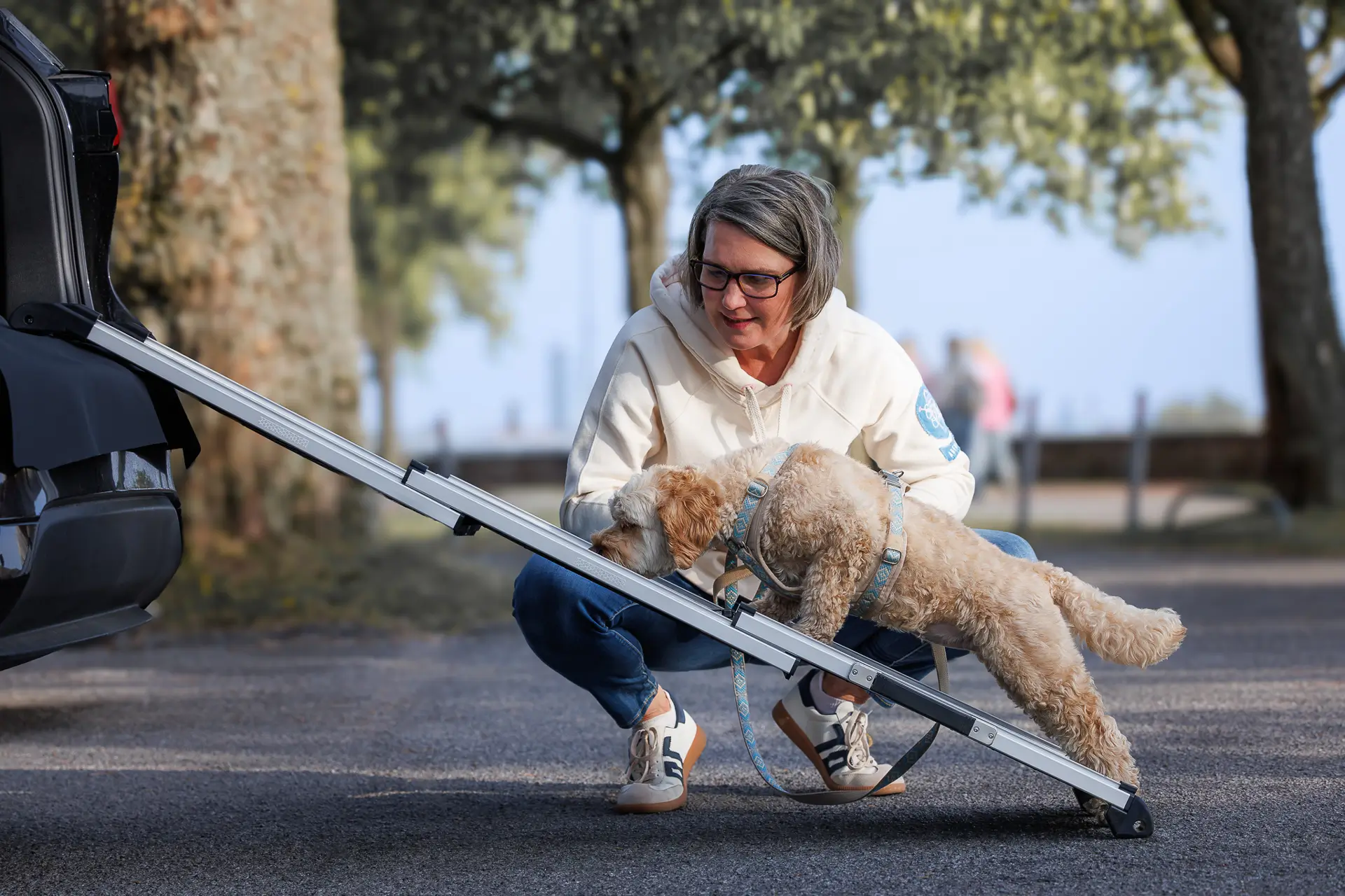 Hundetrainerin aus Düsseldorf trainiert Hund beim Rampengehen – Alltagstraining bei Dogs am Rhein