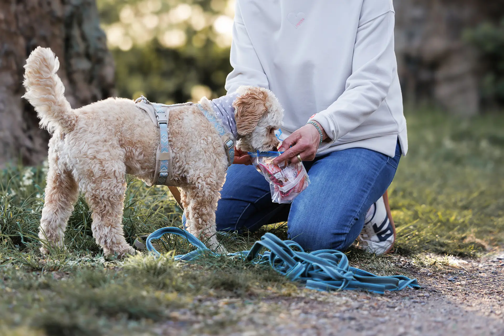 Mantrailing – Hund wird beim Training in Düsseldorf von Hundetrainerin mit Leckerli belohnt – Dogs am Rhein
